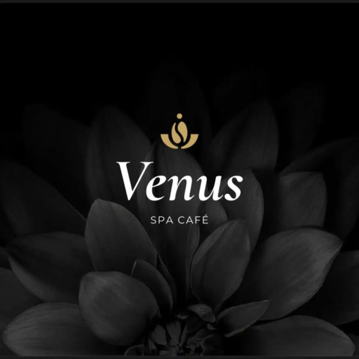 Venus Spa café