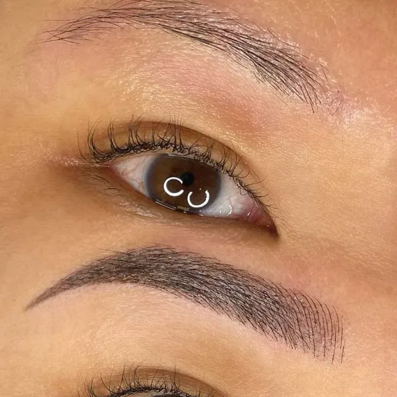 Microshading o Técnica Mixta