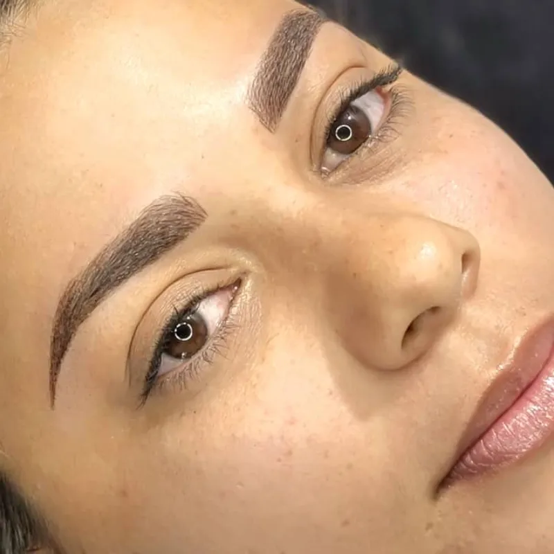 Microshading o Técnica Mixta