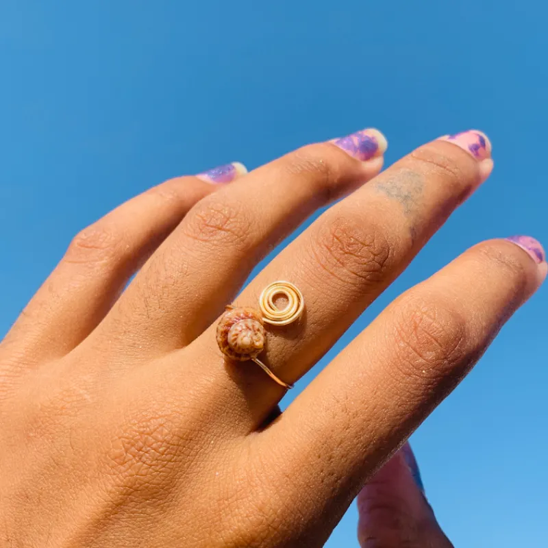 Anillo Espiral+Concha🐚🌀