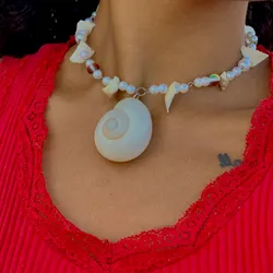 Caracol Marino🌀