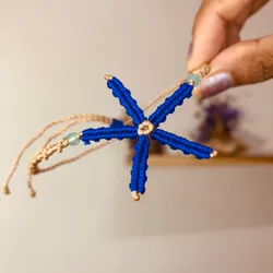 Estrellita de Mar⭐️🌊