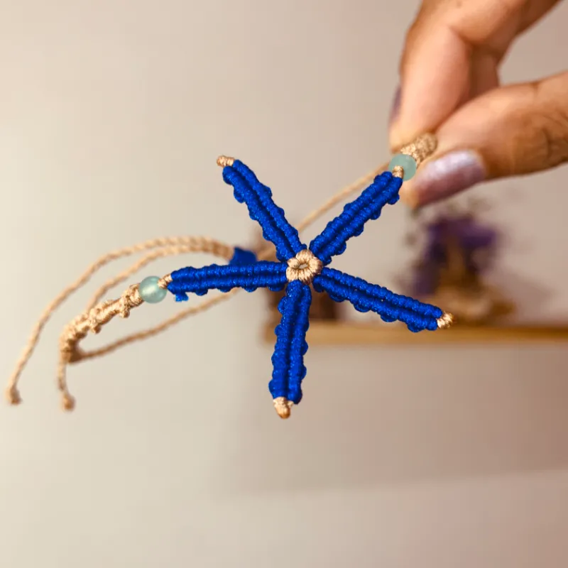 Estrellita de Mar⭐️🌊