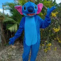 Stich 