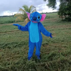Stich 