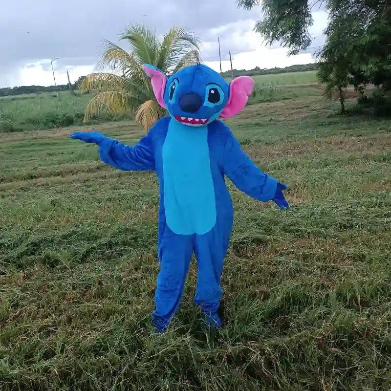 Stich 