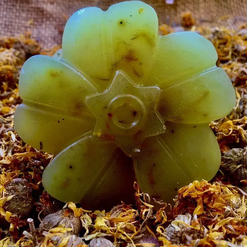 Jabón de glicerina, caléndula y cúrcuma