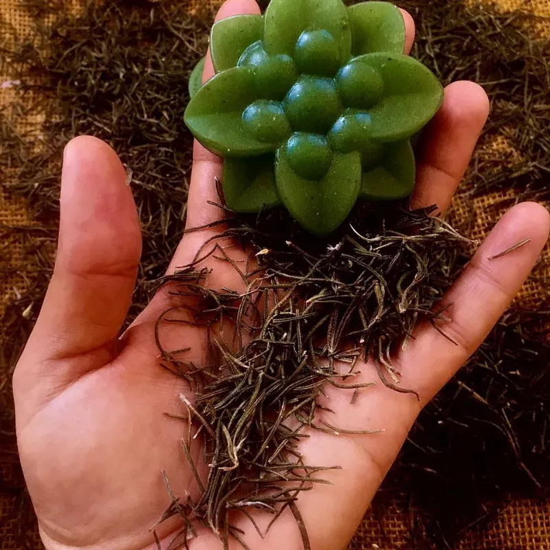 Jabón de glicerina y romero