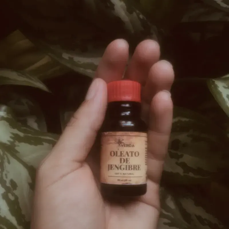Oleato de jengibre