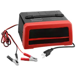 Cargador de bateria AGM - NORMAL - LifeP04 - 12/24V Auto