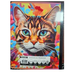 Libretas de rayas 100 hojas, 200 páginas