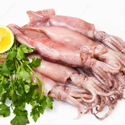 Calamar Entero de 14-16 libras