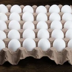 Cartón de Huevo