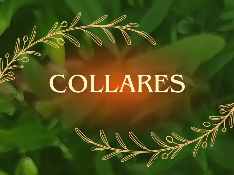 Collares