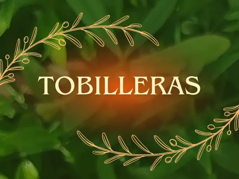 Tobilleras