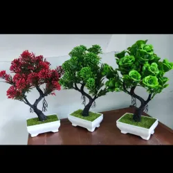 Bonsai