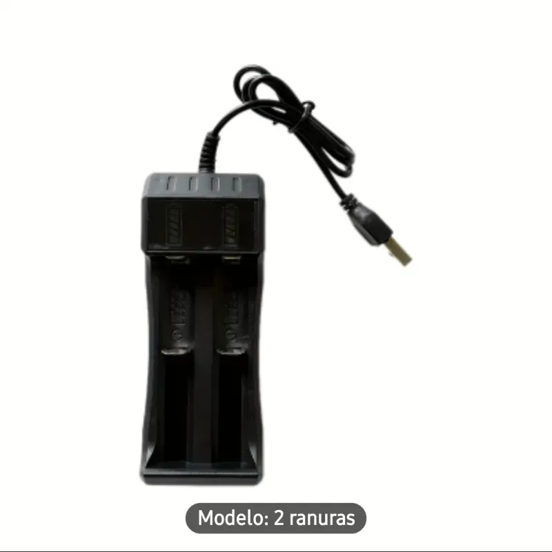 Cargador de baterias recargables
