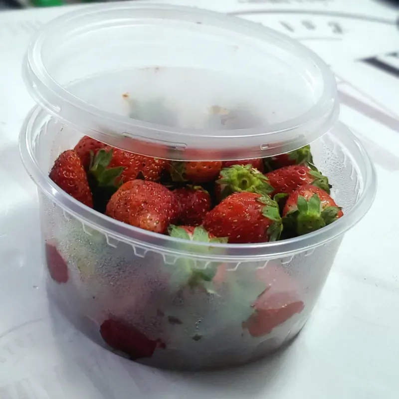 FRESAS