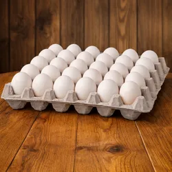 Cartón de Huevos