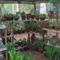 En la tienda
