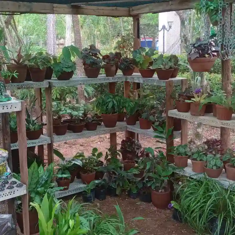 En la tienda