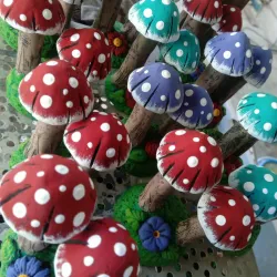Hongos pequeños