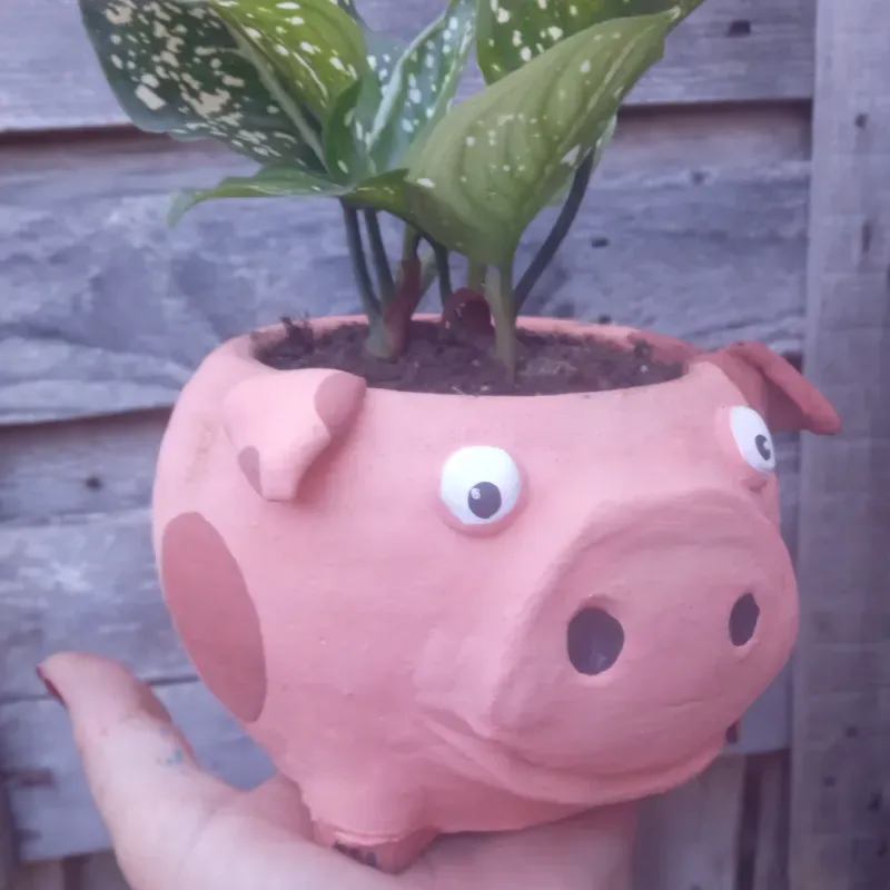 Maceta cerdito