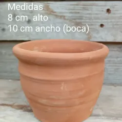 Maceta para cactus 