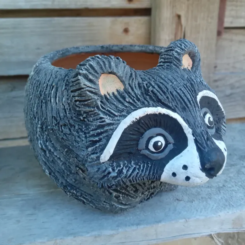 Macetica  mapache 