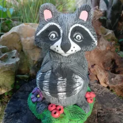 Mapache 