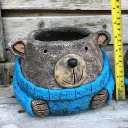 Oso maceta grande