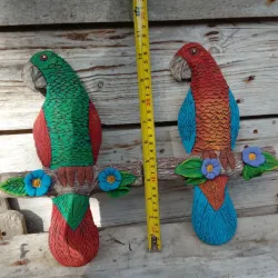 Perico de pared