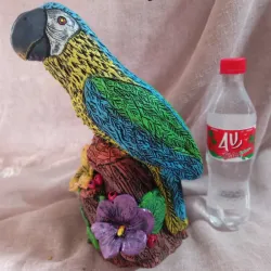 Perico 