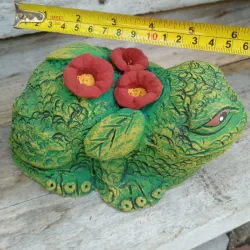 Rana de estanque