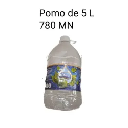Pomo de Agua de 5L