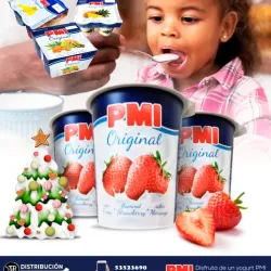 Yogurt sabor a fresa PMI caja de 24 uds x 120g 
