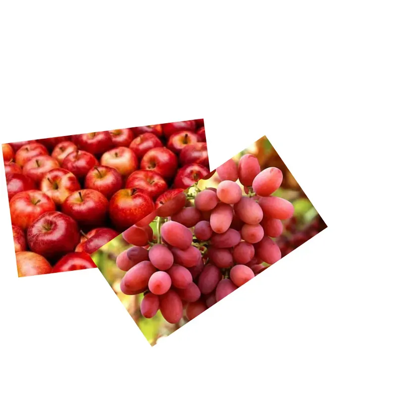 Bolsa combinadas de uva  1lby manzana 5