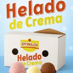 Helado tina de 3.8 lt sabores fresa y chocolate (calidad garantizada)