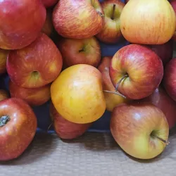 Manzana frescas paquete de 6 uds