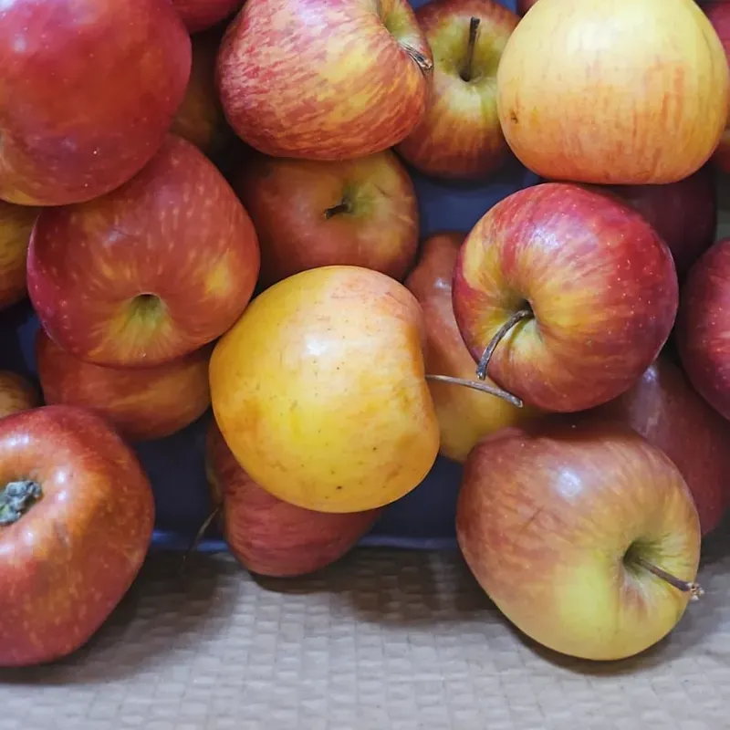 Manzana frescas paquete de 6 uds