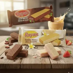 Paquete de sorberto Rayan sabores  fresa vainilla y chocolate 