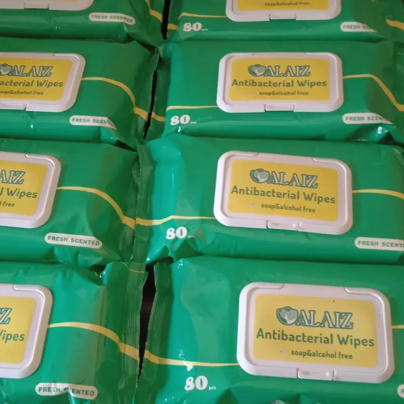 Toallitas húmedas antibacterial ALAIZ (80 uds) sin alcohol 