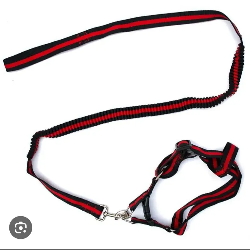 60928 Pechera con correa talla S