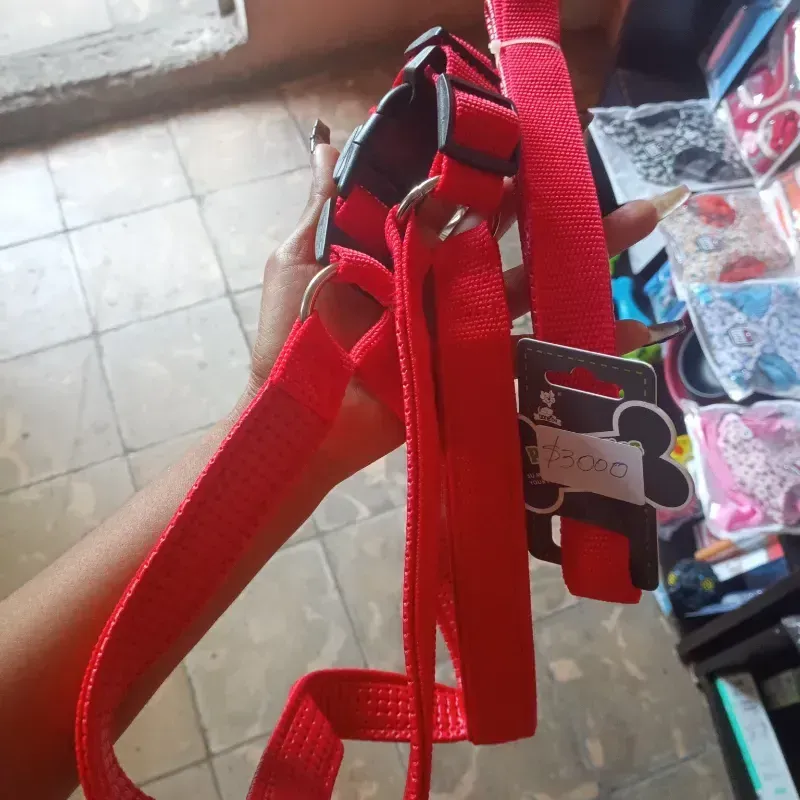 (60941) Pechera con correa talla M 