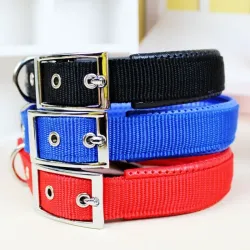 61006 Collar para perros medianos 