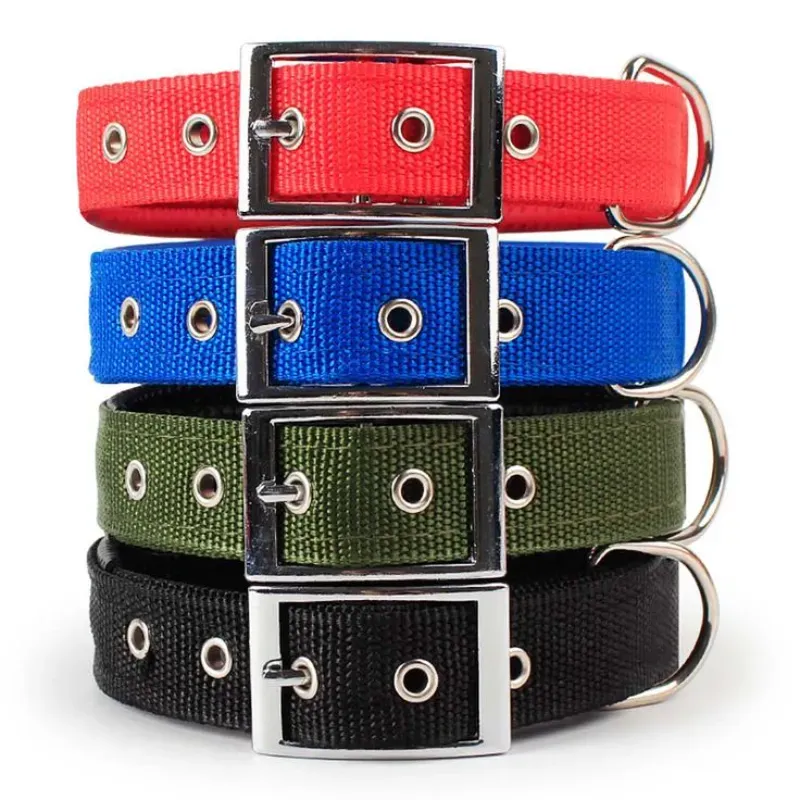 61007 Collar para perros grandes 