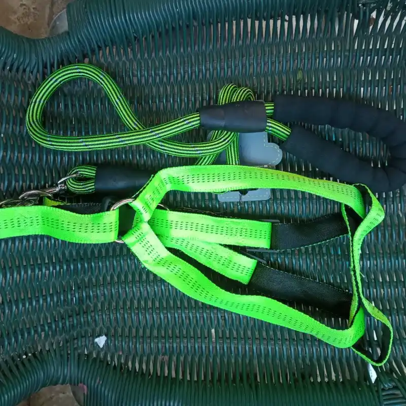 61022 Pechera con correa 