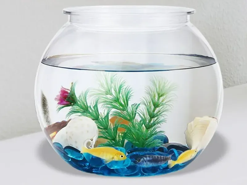 Accesorios de peceras