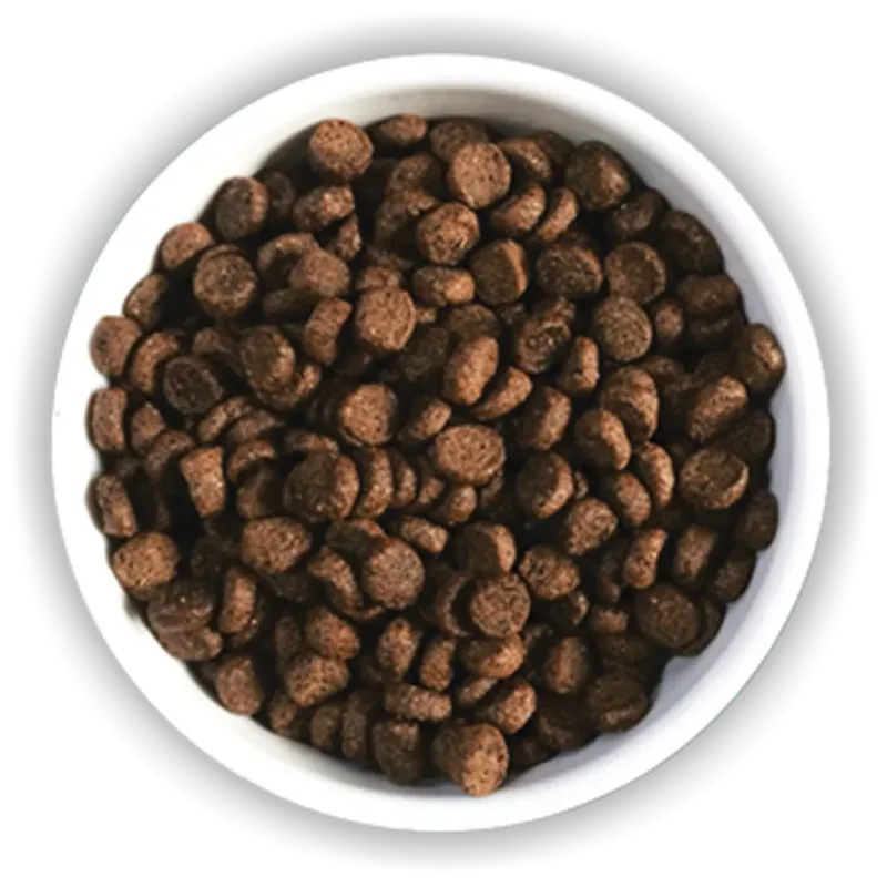 Alfa Cats Salmone 2kg