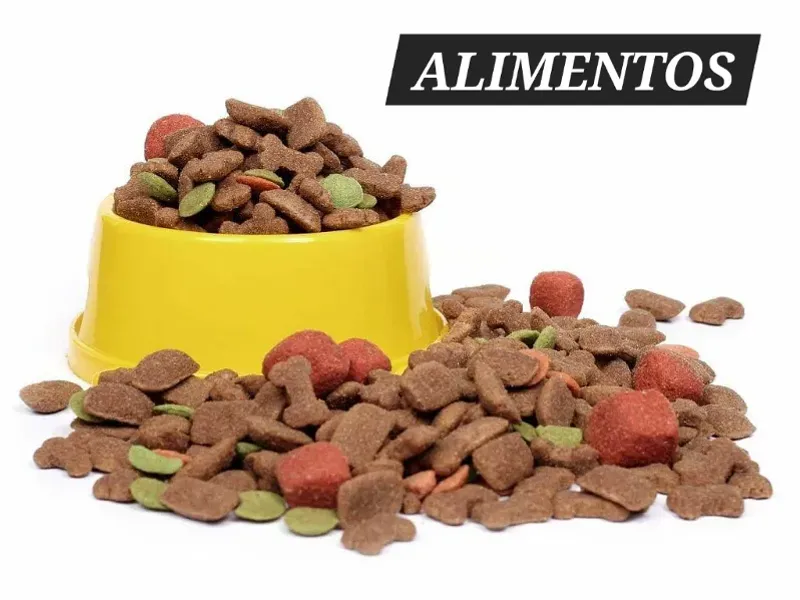 Alimentos